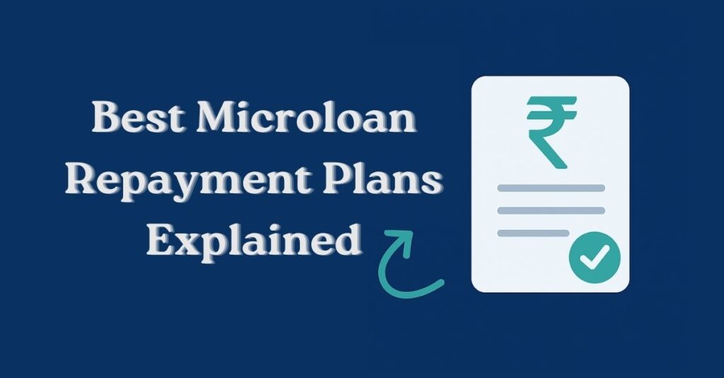 microloan repayment